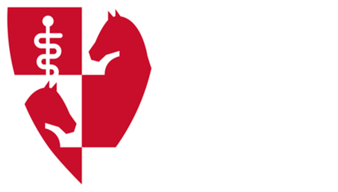 Team van Paardenartsen Brabant